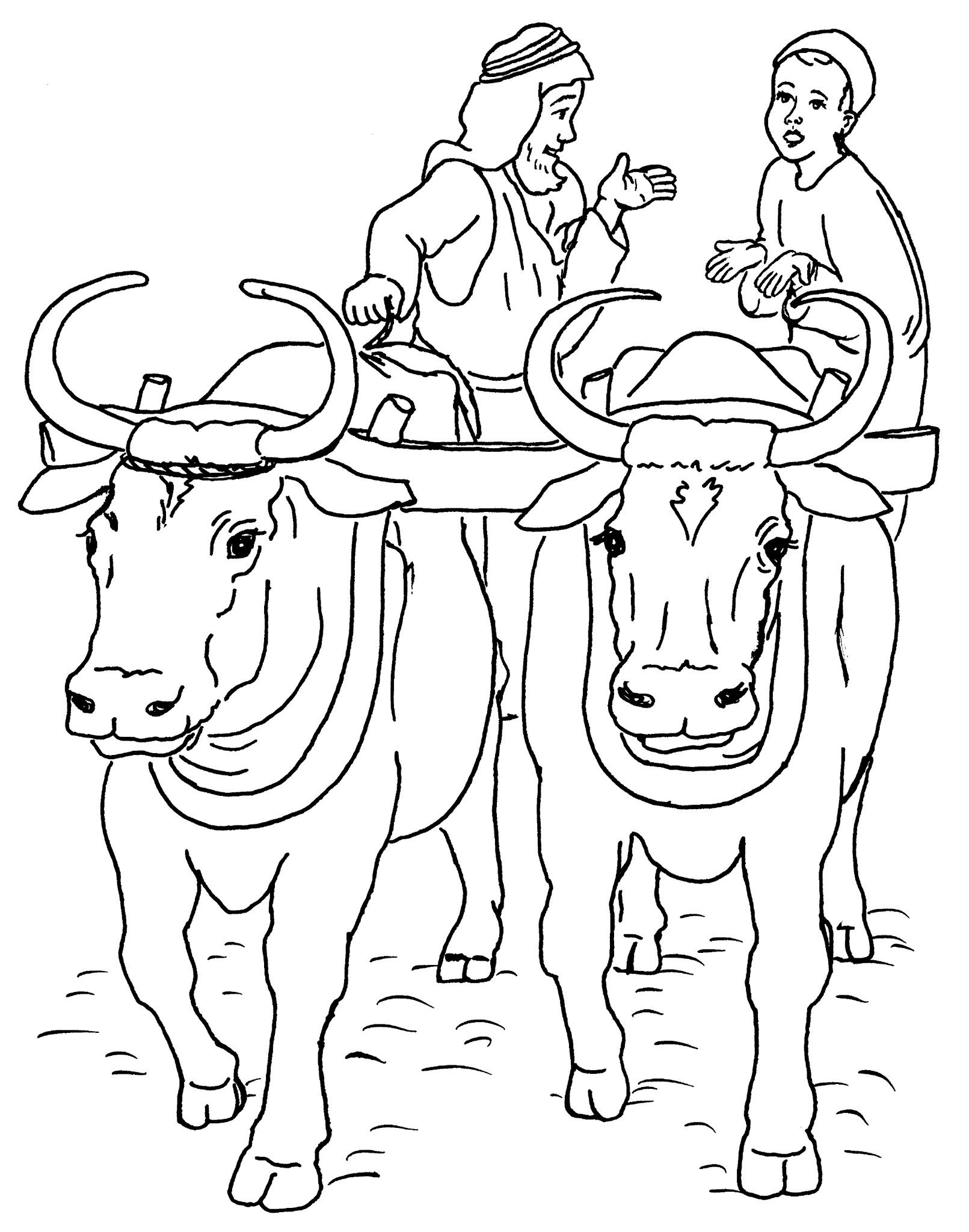Раскраски быков. Раскраска корова. Бык раскраска. Раскраска корова и бык. Рисунок для раскрашивания волы.