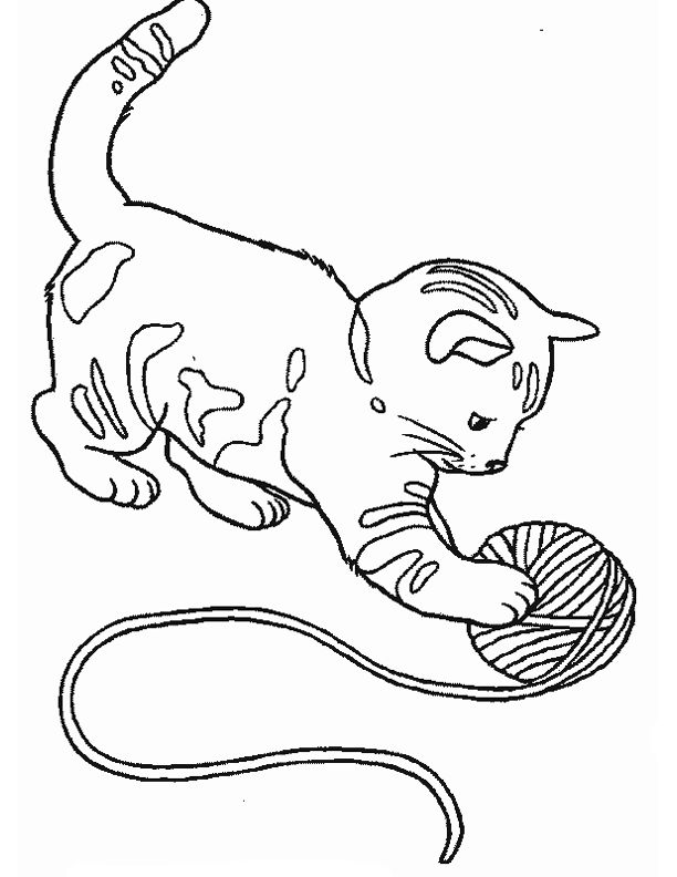 Coloriage bébé chat  Coloriages à Imprimer Gratuitement