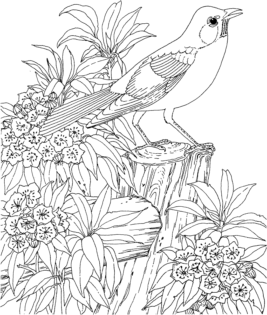 91+ Thousand Coloriage Adulte Fleur Royalty-Free Images, Stock