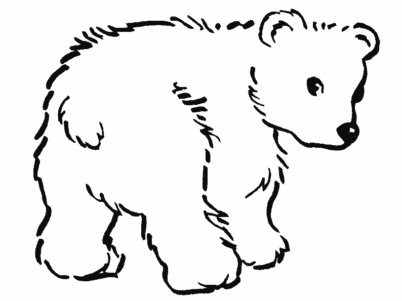 Coloriage d'un gros ours en peluche