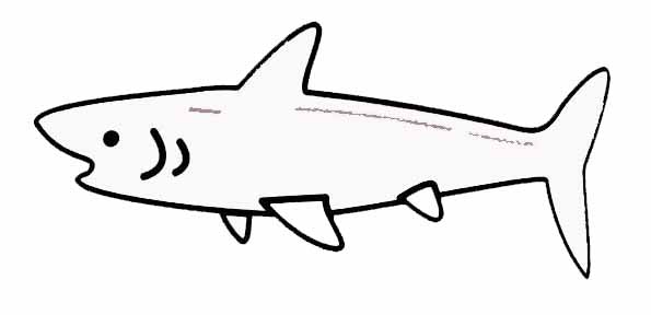 Coloriage - bébé requin  Coloriages à imprimer gratuits