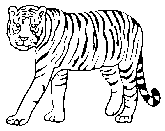Coloriage Disney Mystere Tigre Lion Jungle Dessin Mystere Disney à imprimer
